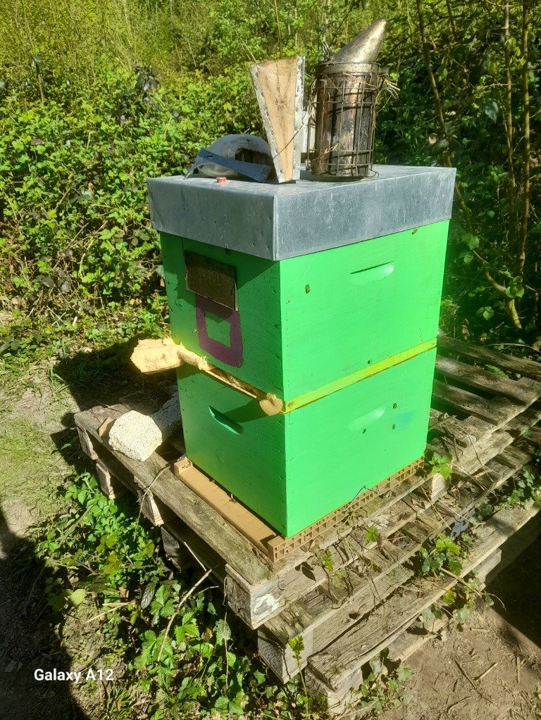 Ruche éleveuse de cellules royales par la méthode Cloake.